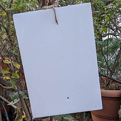 White Sticky Trap for Insects A4 size (210*297)