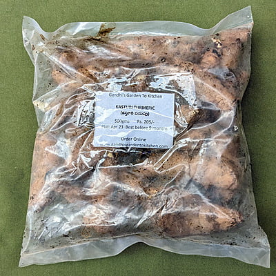 500gms Kasturi Turmeric seed Rhyzomes | Kasthuri Manjal | Aromatic Turmeric (Curcuma Aroamtica Salisb) Wild Turmeric Seeds (rhizomes)