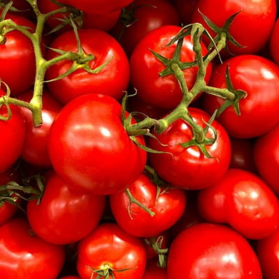 Tomato Round టమాటో రౌండ్ 13-15 seeds