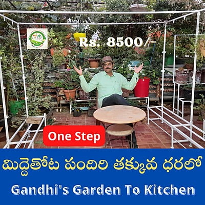 Midde thota Pandiri మిద్దెతోట పందిరి 8feet width X 6feet length X 6ft Height