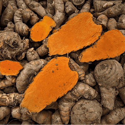 500gms Highest Curcumin Content Lakadong Turmeric Seed Rhyzomes లకాడాంగ్ పసుపు కొమ్ములు