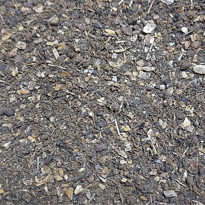 1kg Neem Seed Powder (From Raw Seeds-No Oil Extracted)