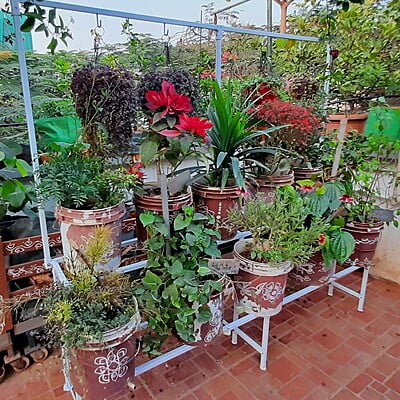 6 feet Two step Garden Stand with Frame Detachable Type Size in Inches 72(L)X23W) X64(H) 6 feet Two step Garden Stand with Frame Detachable Type Size in Inches 72(L)X23W) X64(H)