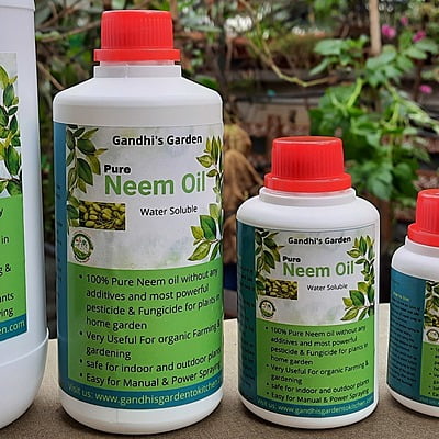 500ml Organic Raw Neem Oil Pesticide Natural and Water Soluble without any additives 500ml Organic Raw Neem Oil Pesticide Natural and Water Soluble without any additives