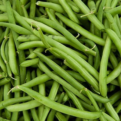 French Beans ఫ్రెంచ్ బీన్స్ 12-15 seeds