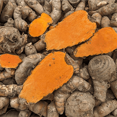 100gms Highest Curcumin Content Lakadong Turmeric Seed Rhyzomes లకాడాంగ్ పసుపు కొమ్ములు