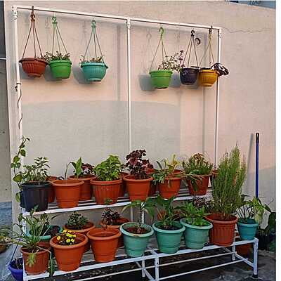 6 feet Two step Garden Stand with Frame Detachable Type Size in Inches 72(L)X23W) X64(H) 6 feet Two step Garden Stand with Frame Detachable Type Size in Inches 72(L)X23W) X64(H)